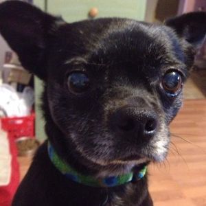 Meet your Posher, Teresa